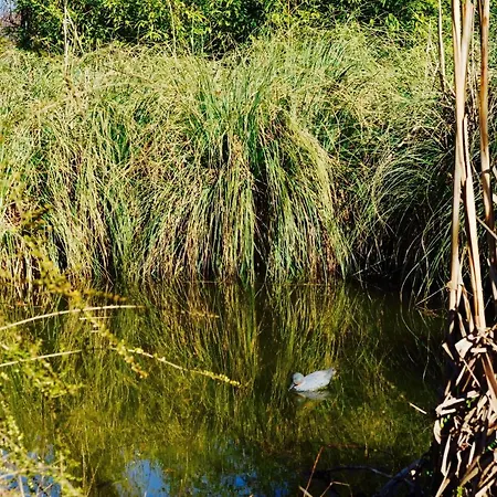 Couette-café Giardino Di Rebecca Castiglione di Ravenna