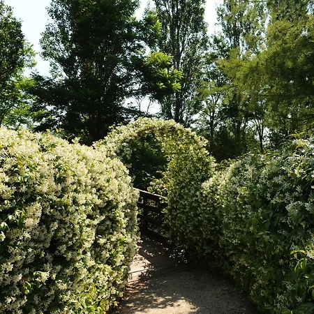 Bed & Breakfast Giardino Di Rebecca