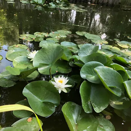 Giardino Di Rebecca Кастильоне-ди-Равенна