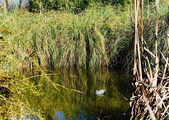 Bed & Breakfast Giardino Di Rebecca Castiglione di Ravenna